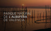 Parque Natural de l'Albufera de Valencia