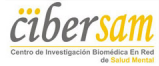 CIBERSAM